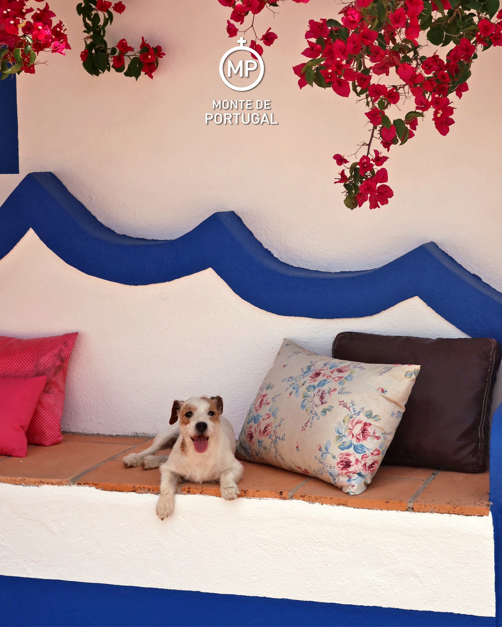 524947014_1418308572956117_7908638601046427662_n